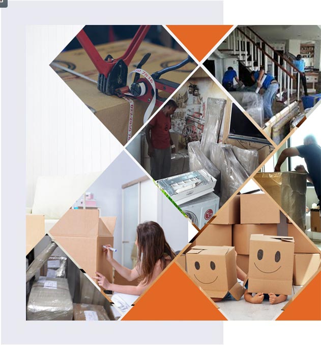 Delhi Home Packers Movers About Us